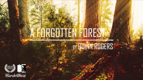 A Forgotten Forest by Quinn Rogers